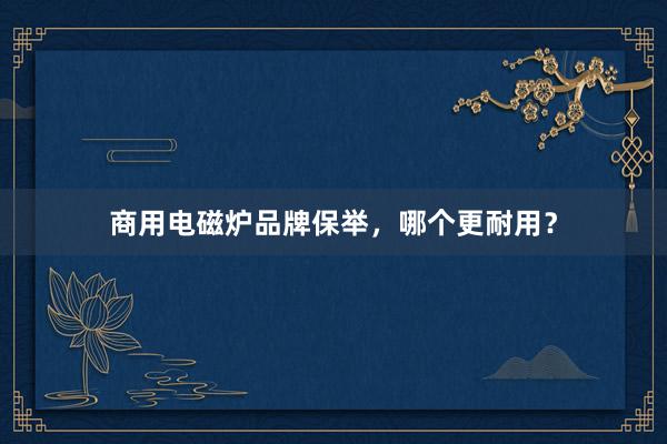 商用电磁炉品牌保举，哪个更耐用？